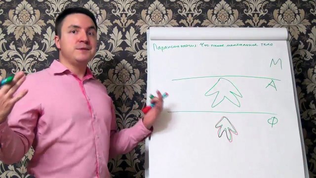 Евгений Грин — Парапсихология — Что такое ментальное тело