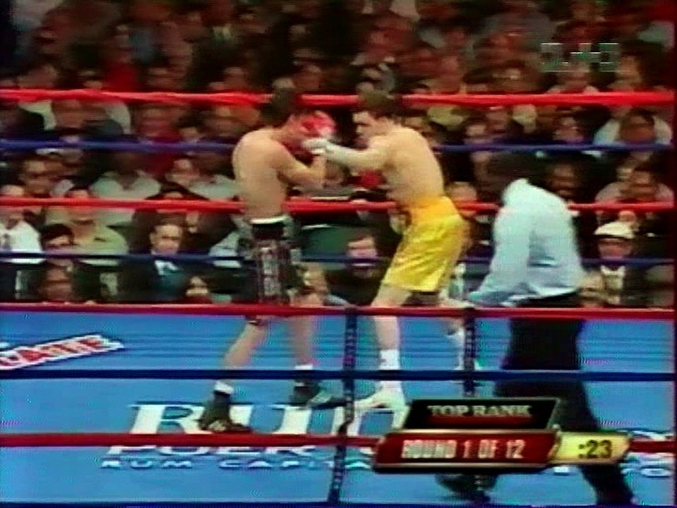 Kermit Cintron vs Antonio Margarito II