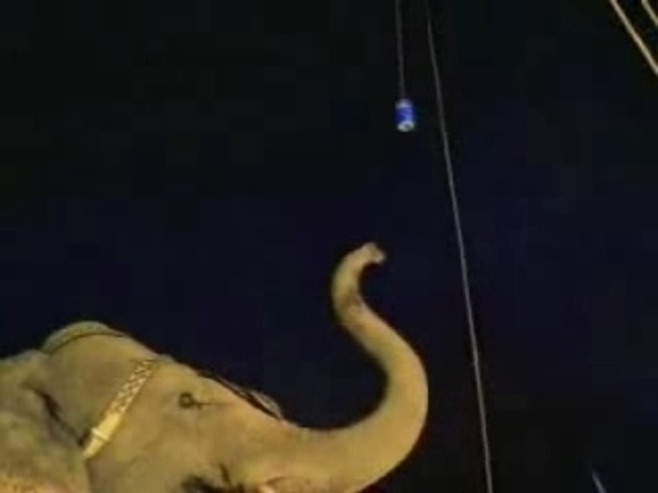 Pepsi Elephant commercial