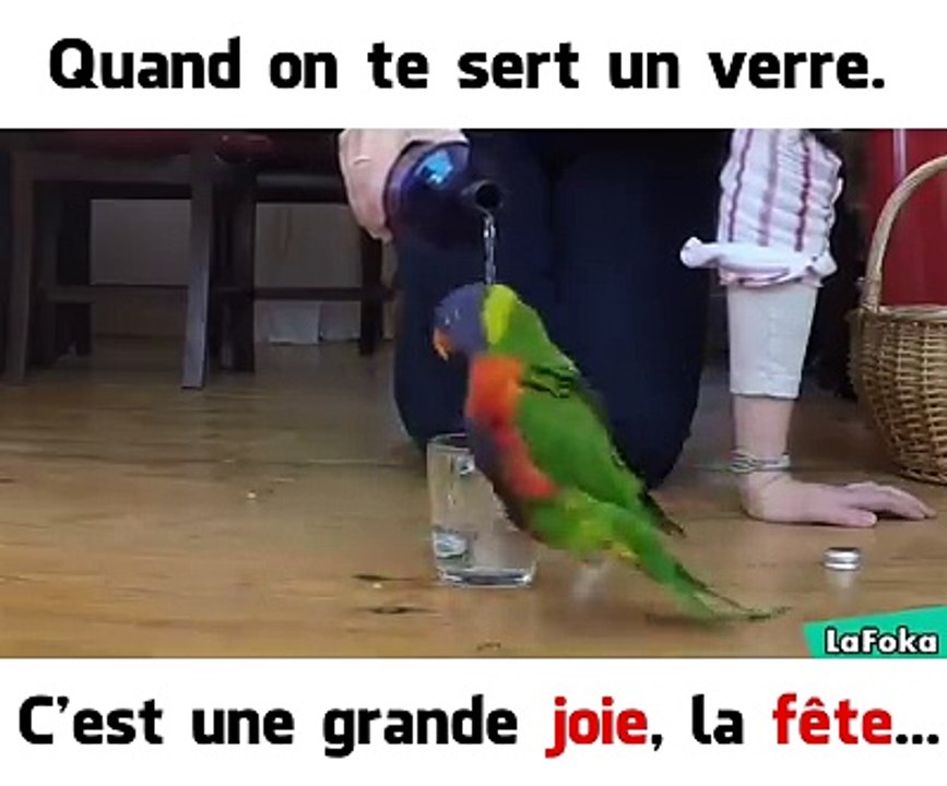 Un petit coup pour la route