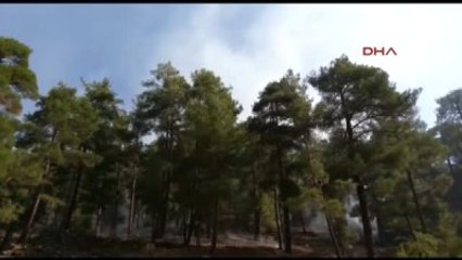 Adana'daki Karaçam Ormanında Yangın Çıktı
