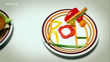 modes nutritionnelles-extrait de Xenius_Arte_2016_09_16_17_20