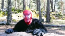 Spiderman Prank vs Frozen Elsa & Joker w_ King Kong, Spiderbaby, Princess Anna & Funny SUperhero-t0pHUS3ZbgM part 1