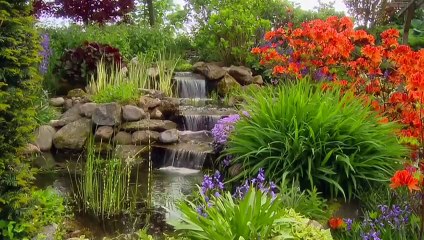 ريبر هبون , نشيد الكلمات , من ديوان صرخات الضوء, الأعمال الكاملة