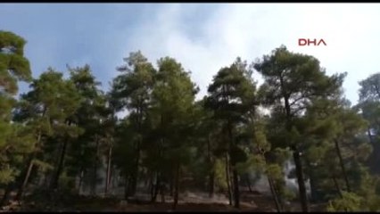 Adana'daki Karaçam Ormanında Yangın Çıktı