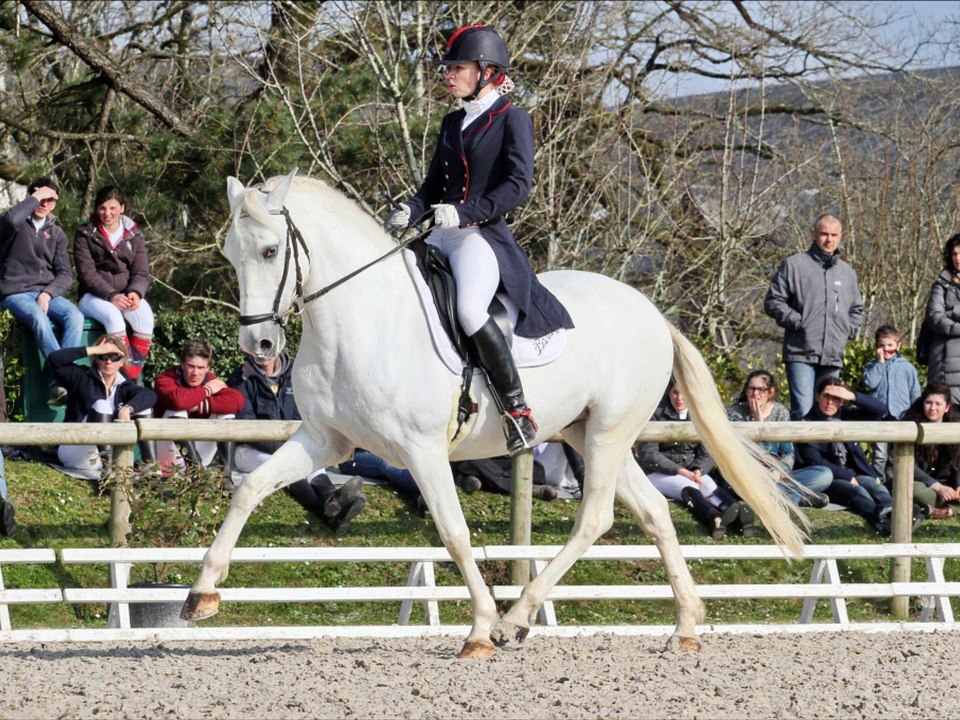Teaser Officiel Concours National de Dressage 2016