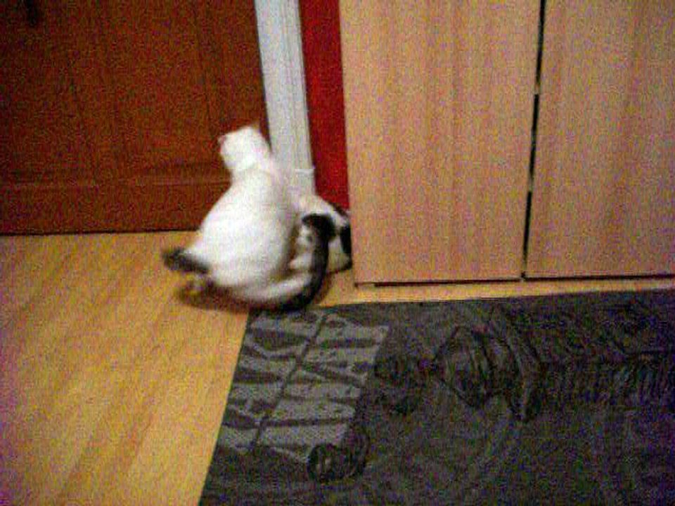 Harvey und Vinzent am 24.09.2016