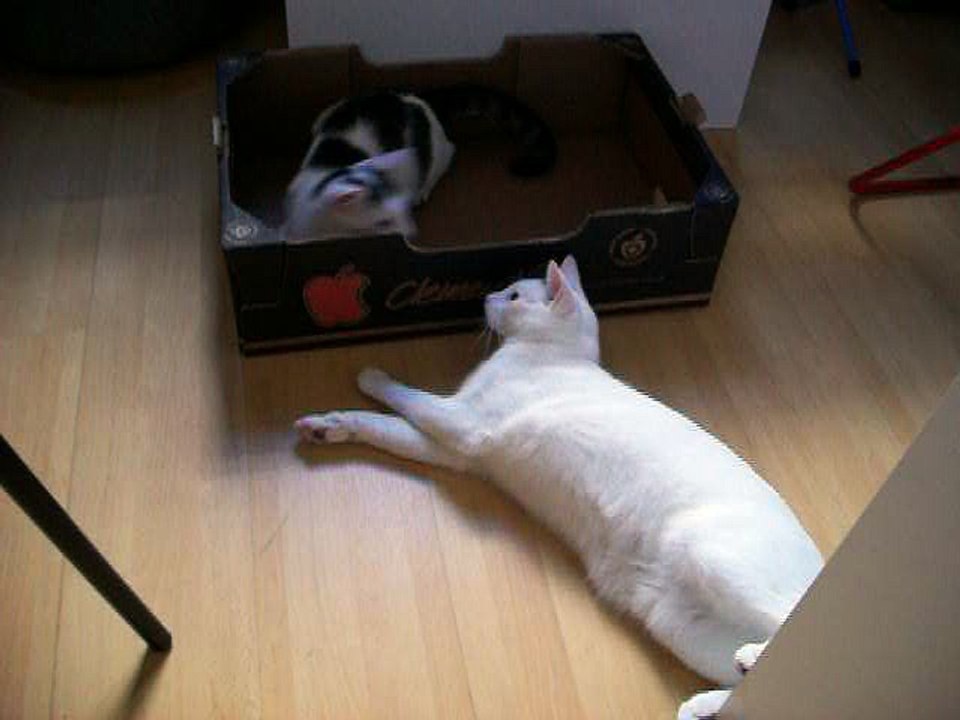 Harvey und Vinzent am 24.09.2016