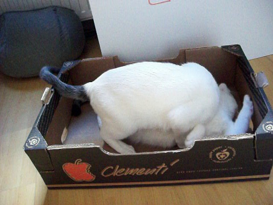 Harvey und Vinzent am 24.09.2016