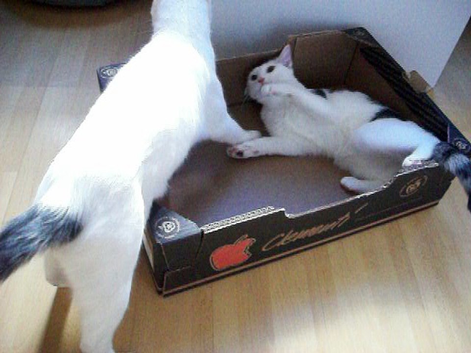 Harvey und Vinzent am 24.09.2016