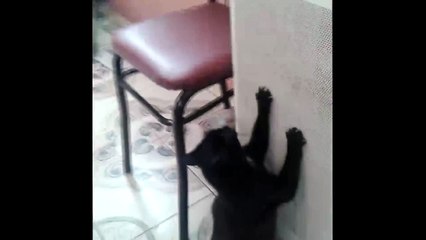 Cold the winter! Funny video