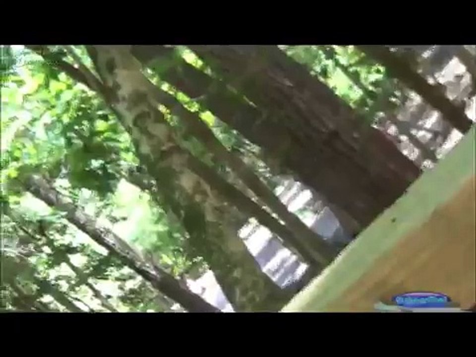 Crazy Funny Lama (Animal Funny Video 2013)