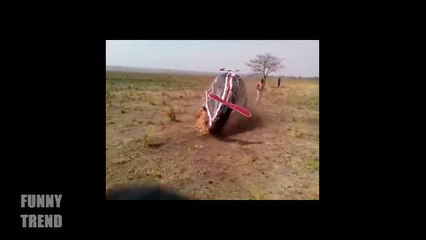 Indian Funny Videos 2016 - Best Whatsapp Funny Videos