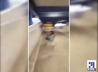 ایسی گاڑی پر کبھی بیٹھیے گا مت وارنہ تو یہی حال ہوگا