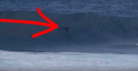 Look this Australian grom in a unusual encounter with a dolphin