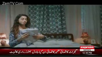 “Josh” Double Meaning Tv Ads – Pemra Kahan So Raha Hai?