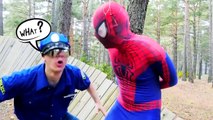 Spiderman vs Police Wanted Dead or Alive! w_ Harley Queen, Frozen Elsa &  part 3