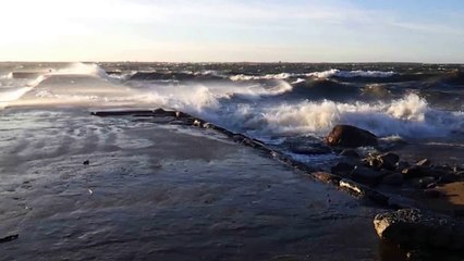 Christmas Storm in Tallinn