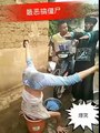 hahaha - funny video - must watch 2016