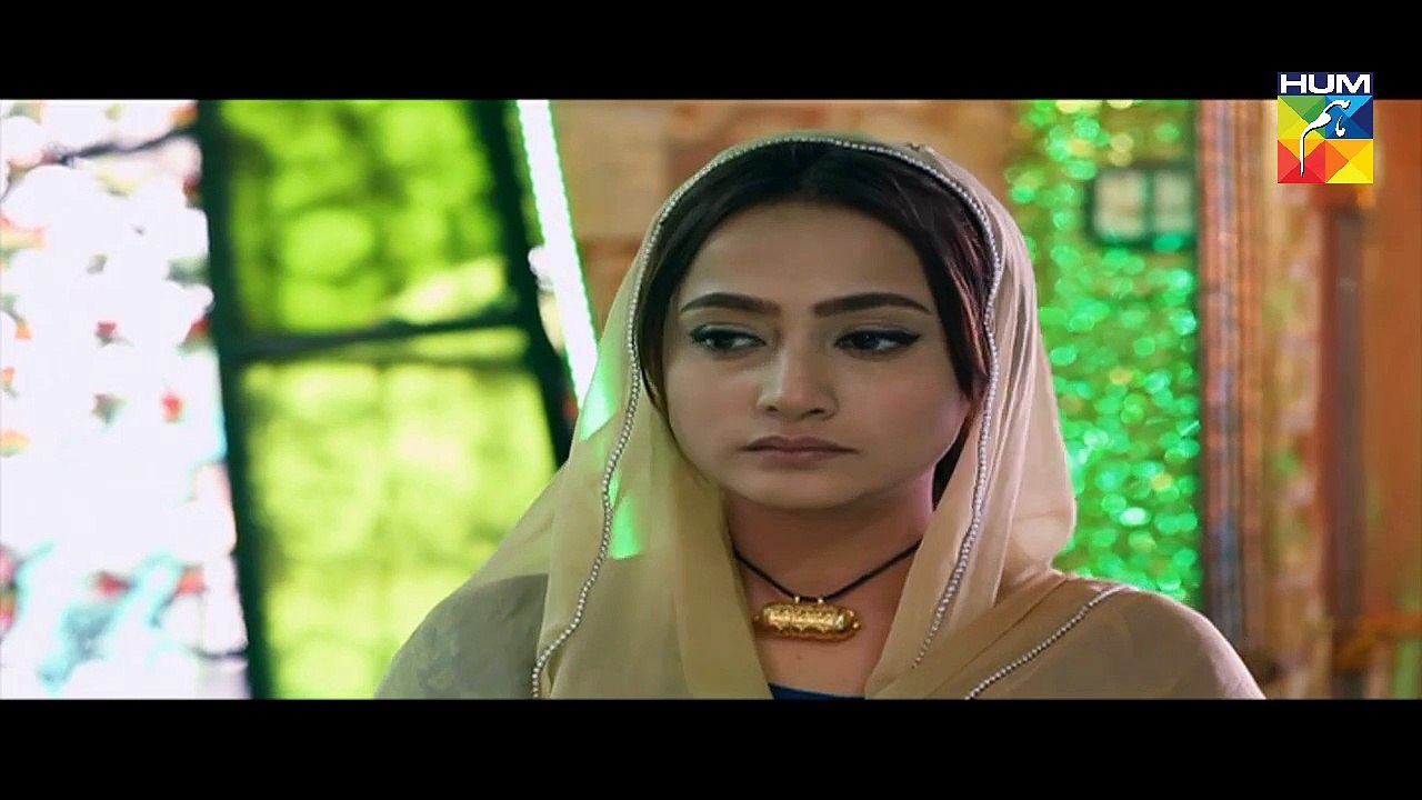 Laaj Eds 8 L    HUM TV Drama 24 Sep 2016