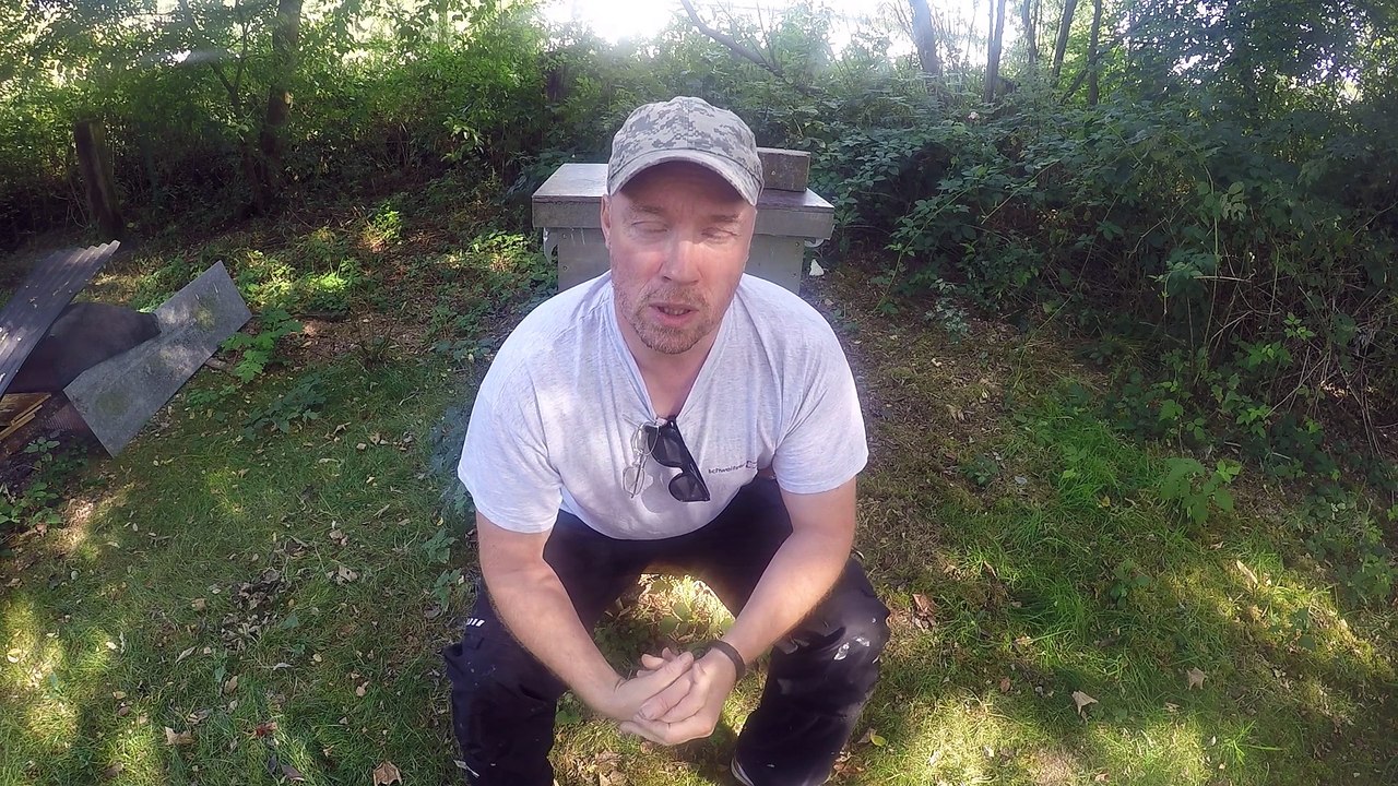 Völkervermehrung im Winter