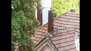 Жизнь на крыше. Life on a roof.