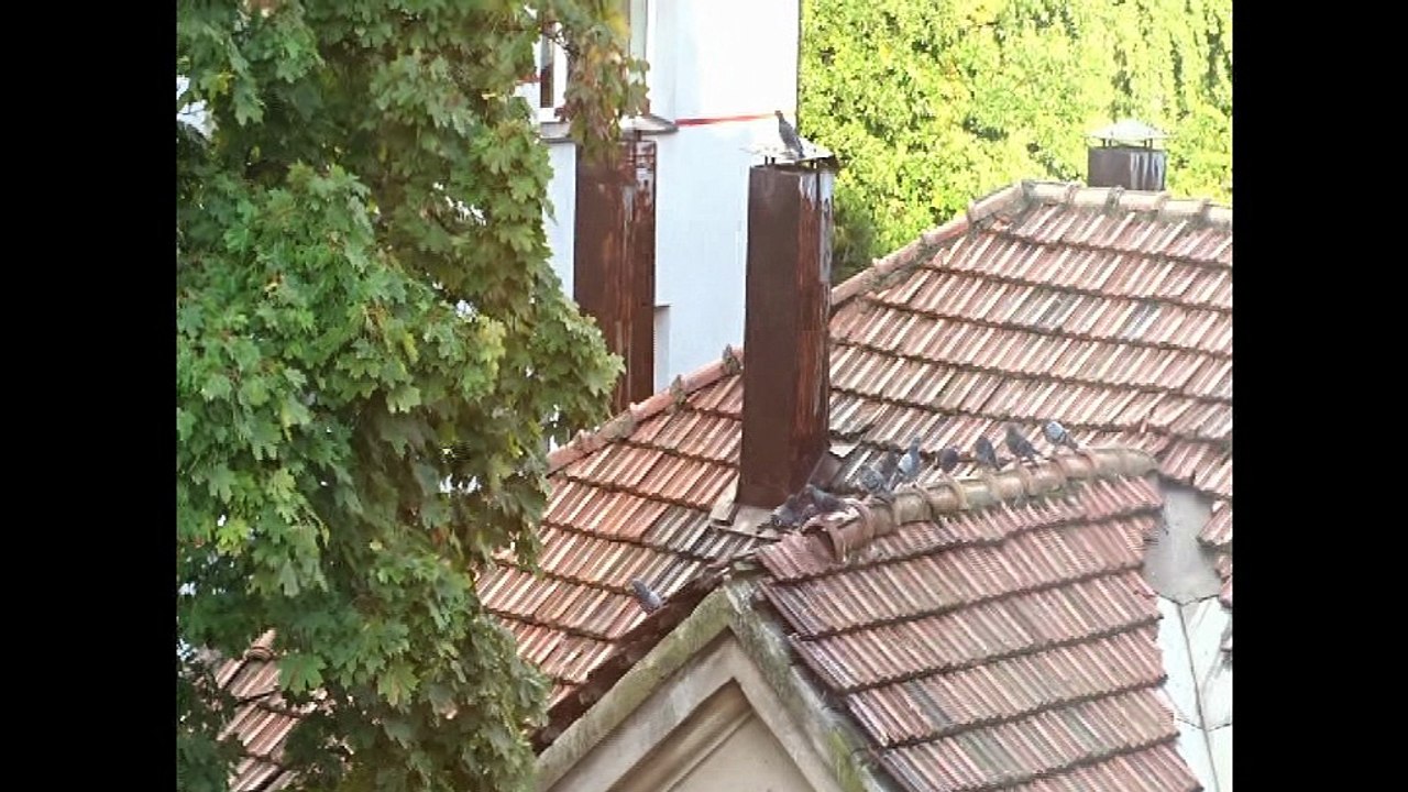 Жизнь на крыше. Life on a roof.