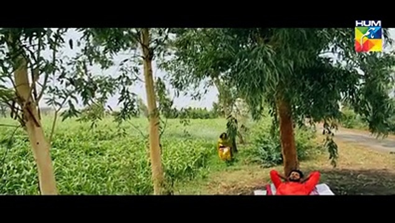Laaj Episode 8 HUM TV