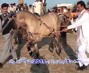 horse dance  rai ali kharal daffar  langar wala 2015