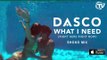 Dasco Feat. Justina Maria – What I Need (Right Here, Right Now) (Shoko Mix)