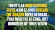 10 FACTS ABOUT AMAZON RAINFOREST