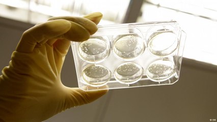 Kansere yakalanmayan kök hücre üretildi