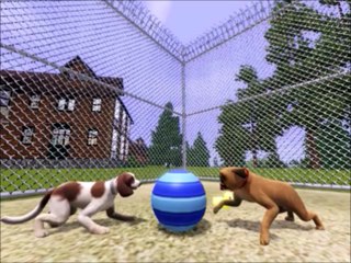 Puppy Pals Season 1 Episode 2- Potty Training/Obsessed With Peanut