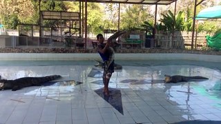 Ce taré danse avec des crocodiles!