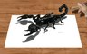 Speed Drawing of 3D Emperor Scorpion How to Draw Time Lapse Art Video Colored Pencil Illustration Artwork Draw Realism