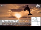 Freddy Verano - Dolphins (Radio Edit) - Time Records