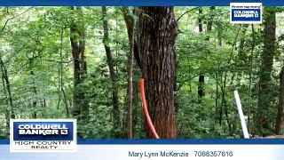 Homes for sale - 110 Bell Creek Hollow, Hayesville, NC 28904