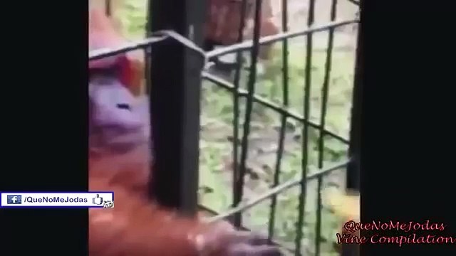 Funny Fails Compilation Funny Bloopers That Will Make You Laugh 2016 Part3