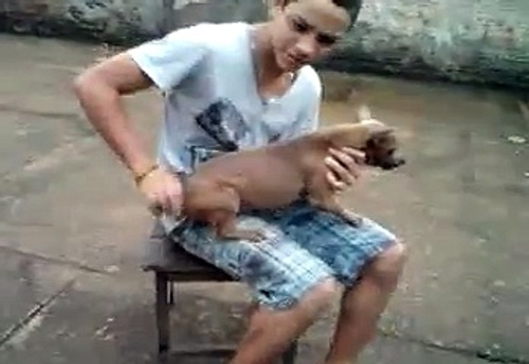 real toy