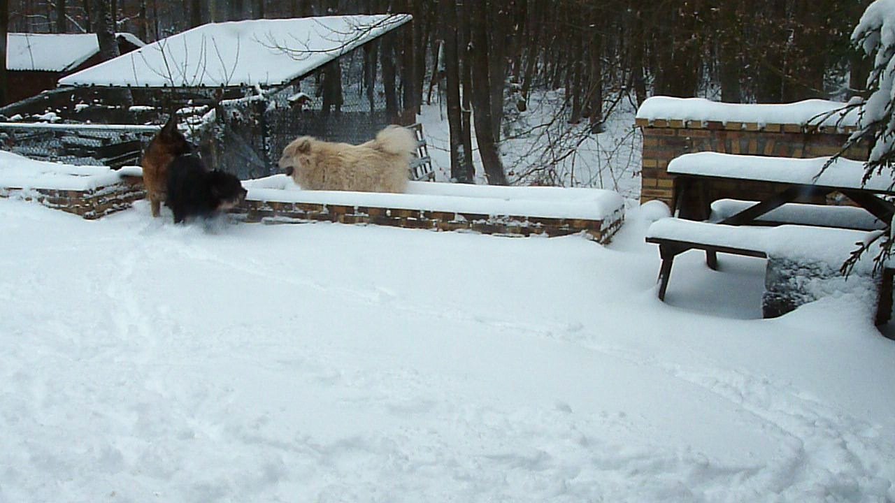 Jeux de bourrins  ^_^