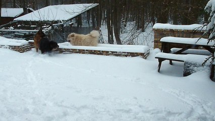 Jeux de bourrins  ^_^