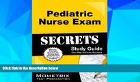 Big Deals  Pediatric Nurse Exam Secrets Study Guide: PN Test Review for the Pediatric Nurse Exam