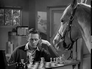 Mister Ed S5 | What Kind Of Foal Am I