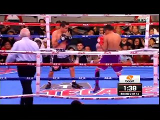 Donnie Nietes vs Edgar Sosa
