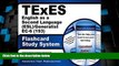 Big Deals  TExES English as a Second Language (ESL)/Generalist EC-6 (193) Flashcard Study System: