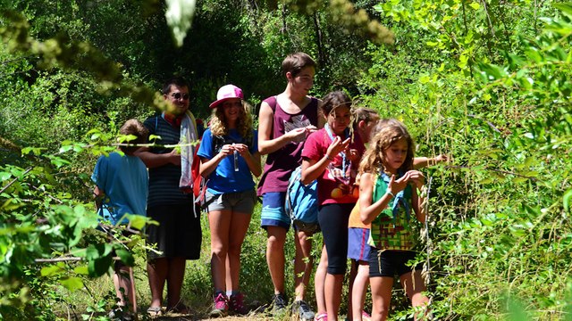 RESUM CAMPAMENTS I RUTES 2015-2016 - AEIG SANT NARCÍS