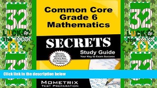 Big Deals  Common Core Grade 6 Mathematics Secrets Study Guide: CCSS Test Review for the Common