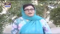 Bulbulay Drama Episode 29 Full Ary Digital